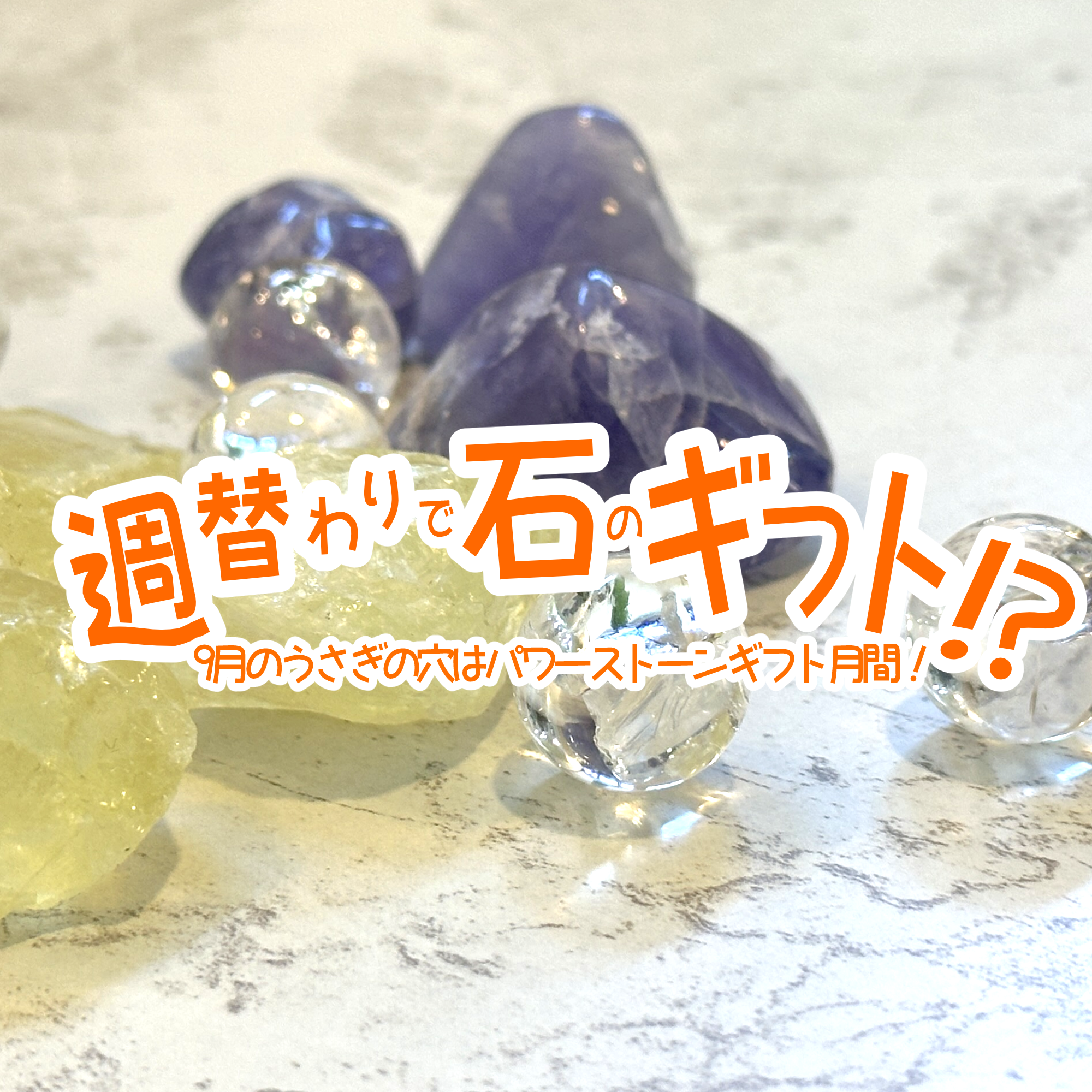 いちごウサギ様10/21＊アラシャン瑪瑙ウサギ フォッシルコーラル